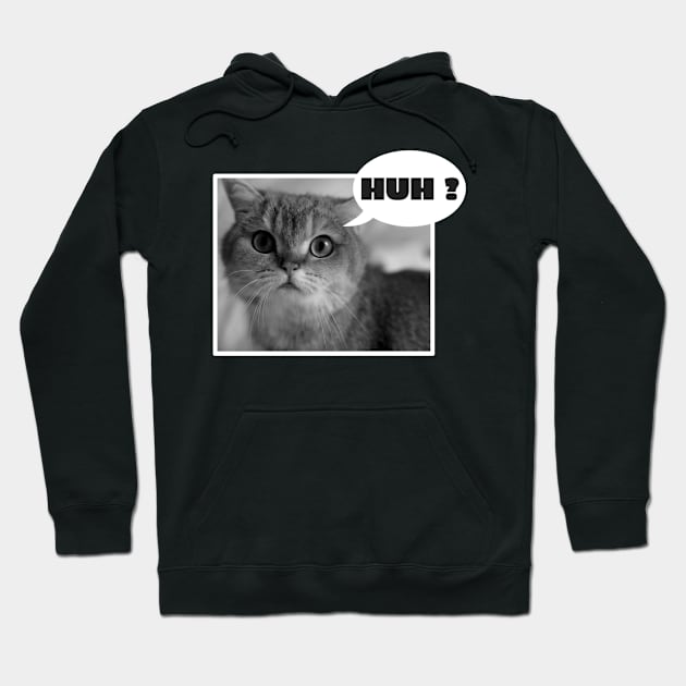 Huh Cat Meme Hoodie by TidenKanys